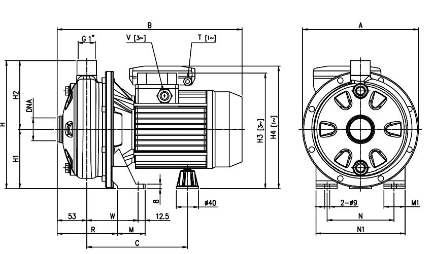 cdx1